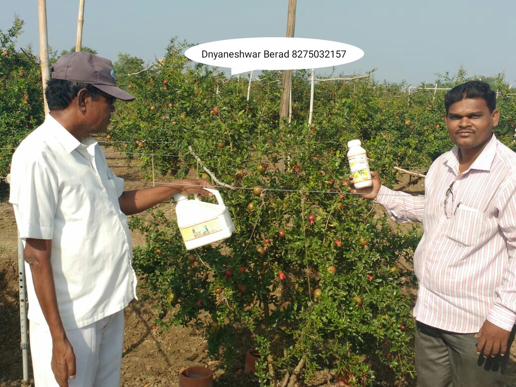 Green Planet Bio Products Nashik Mobile  shop Nashik